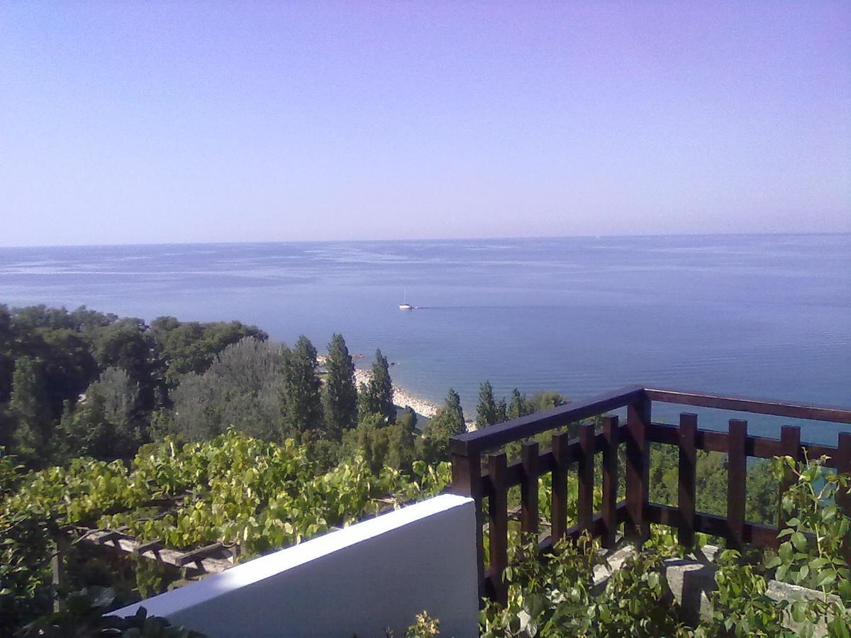 Pelion Orama Apartment Agios Ioannis  ภายนอก รูปภาพ