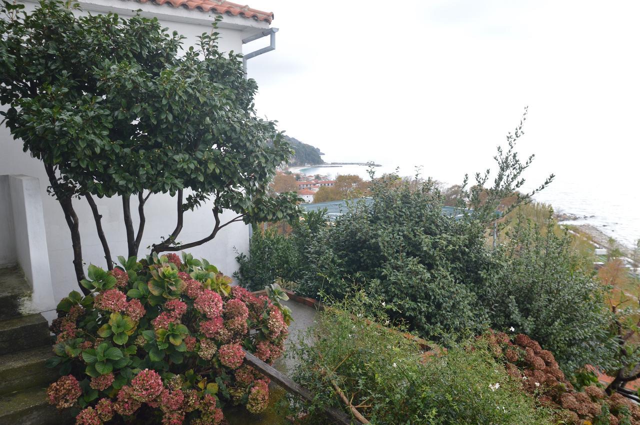 Pelion Orama Apartment Agios Ioannis  ภายนอก รูปภาพ